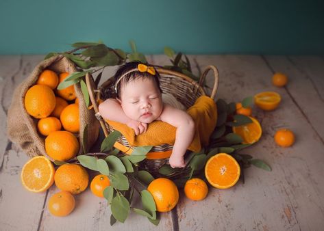 One Year Photography, Infant Portraits, Baby Photography Poses, Born Photography, Babies Photography, Baby Orange, Baby Milestone Photos, Milestone Photos, Newborn Photography Studio