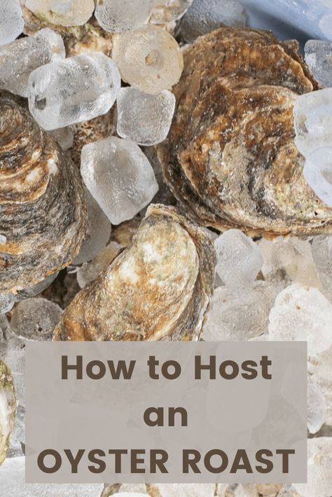 Oyster Roast Hosting Made Easy Oyster Roast Party, Low Country Boil Party, Oyster Shooter, Cajun Turkey, Oyster Roast, Oyster Recipes, Grilled Pork Tenderloin, Meat Markets, Saltine Crackers