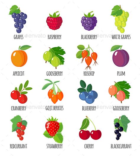 Set of Berries Icons with their Name Berry Names, Frozen Yogurt Bites, Modern Flat Design, Recipe Drawing, Preschool Lesson Plan, Vegetable Garden Diy, Drawing Vector, Modern Flat, Bookmarks Handmade