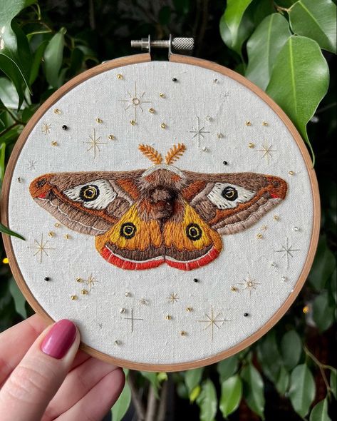 Woven Wheel Stitch, Double Chain Stitch, Thread On Canvas, Mushroom Diy, Moth Embroidery, Fishbone Stitch, Outline Stitch, Leaf Stitch, Lazy Daisy Stitch