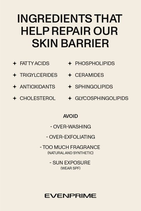 Discover ingredients like ceramides, antioxidants and fatty acids that help repair your skin barrier. Learn what ingredients to avoid to maintain your healthy barrier. Ingredients To Avoid, Skin Facts, Skin Care Business, Skin Care Guide, Skin Aesthetics, Clear Skin Tips, Healthy Skin Tips, Sms Marketing, Health Skin Care