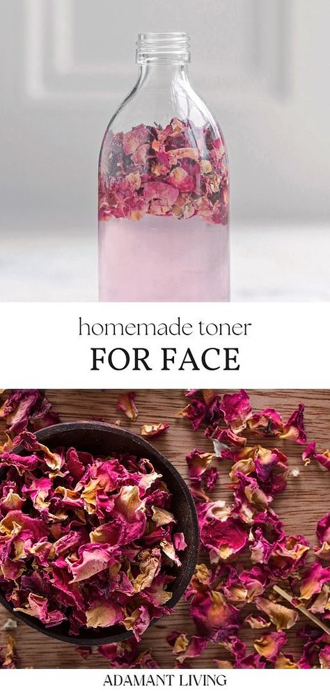 Transform your skin care routine with our DIY beauty guide featuring a witch hazel toner. This homemade skin care gem harnesses the skin-nourishing benefits of witch hazel and the enchanting aroma of dried rose petals to create a rejuvenating herbal toner. With this recipe, homemade toners for face become not just a possibility but an accessible, healthier option for your daily skin care regimen. Benefits Of Witch Hazel, Homemade Toner, Homemade Lotion Recipe, Witch Hazel Toner, Herbal Medicine Recipes, Herbal Remedies Recipes, Homemade Lotion, Diy Body Care, Diy Beauty Recipes