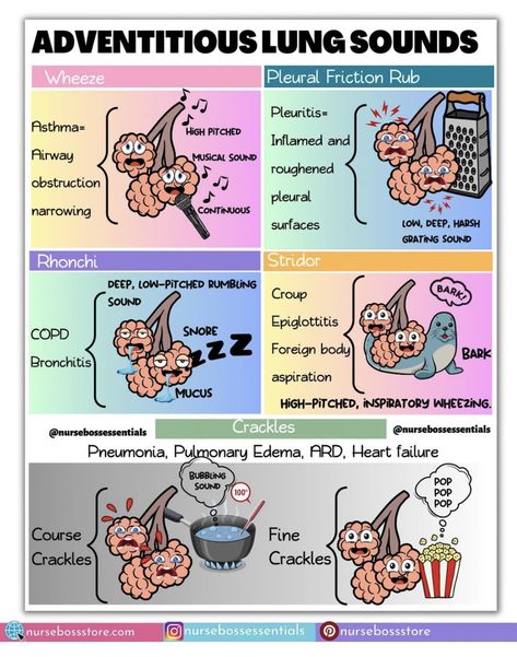 Respiratory Therapy Student, Nursing School Studying Cheat Sheets, Lung Sounds, Paramedic School, Nursing School Essential, Nursing School Motivation, Medical School Life, Nurse Study Notes, Nursing Mnemonics