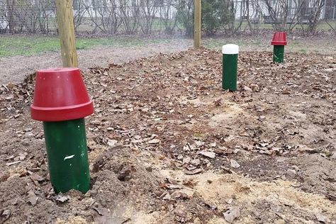 Worm tower In Ground Compost, Compost Bin Ideas, Worm Tower, Soil Nutrients, Best Compost Bin, Worm Farming, St Bernadette, Habitat Restore, Worm Bin