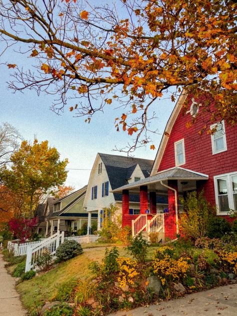 Michigan Fall Leave AnnArbor Cottage Houses Michigan Ann Arbor, Ann Arbor Michigan Aesthetic, Midwest Core, Michigan Aesthetic, Fall Michigan, Fall In Michigan, England Autumn, Maine In The Fall, Michigan Fall