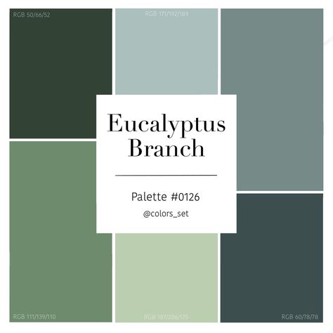 Color palette #0126 Eucalyptus Branch | Color palette design, House color  palettes, Nature color palette Pantone Eucalyptus, Eucalyptus Colour Palette, Eucalyptus Green Color Palette, Natural Green Color Palette, Eucalyptus Palette, Color Palette Eucalyptus, Eucalyptus Color Palette, Eucalyptus Color, Wedding Color Scheme