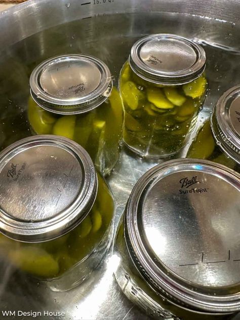 Craving for some mouthwatering pickles? Dive into our scrumptious Mrs. Wages homemade Kosher Dill Pickles recipe and fill your pantry with jars of pickle perfection! 🥒 Say goodbye to store-bought and hello to homemade flavor! 😍 Follow us for more. Easy Dill Pickle Recipe, Canning Pickles Recipe, Dill Pickles Recipe, Pickles Recipes, Quick Pickle, Easy Pickle, Quick Pickles, Kosher Dill Pickles, Dill Pickle Slices