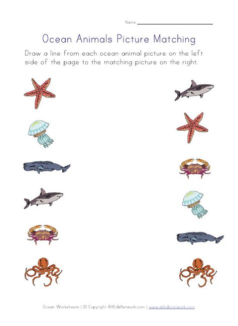 Ocean animals worksheets Sea Kindergarten, Ocean Animals Pictures, Ocean Animals Preschool, Kindergarten Colors, Free Preschool Printables, Animal Worksheets, Matching Worksheets, Ocean Activities, Worksheets For Preschool