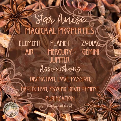 Star Anise Witchcraft, Blessed Thistle Magical Properties, Anise Witchcraft, Plant Symbolism, Herb Magick, Magickal Correspondences, Herbs For Protection, Herbal Witch, Goddess Magick