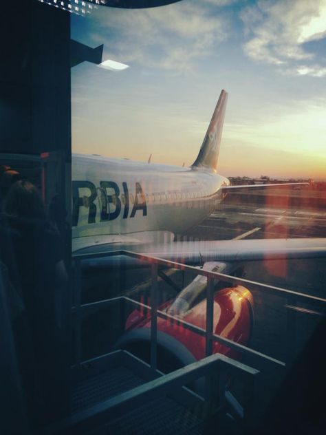 That's us, Air Serbia! Photo by Aleksa Živić Bg Aesthetic, Air Serbia, Blonde Hair Green Eyes, Serbia, Green Eyes, Blonde Hair, Blonde, Green, Hair