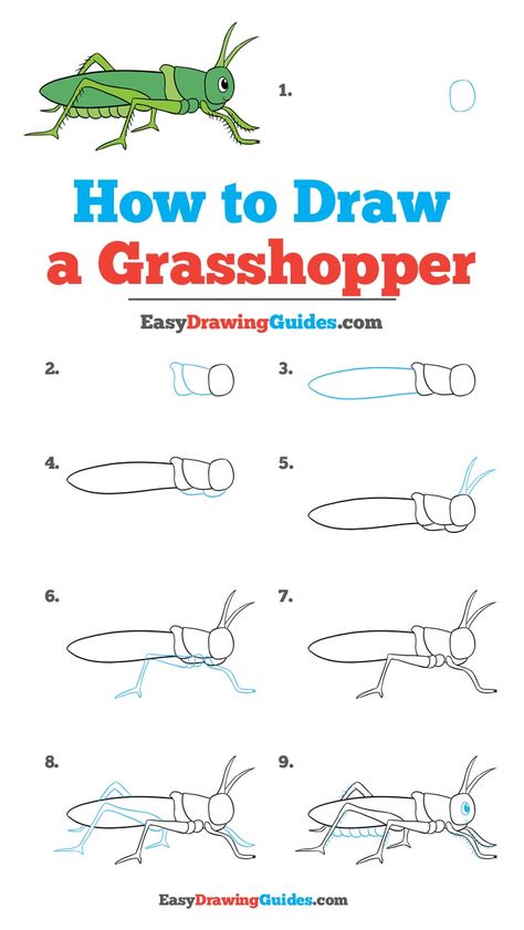 Learn How to Draw a Grasshopper: Easy Step-by-Step Drawing Tutorial for Kids and Beginners. #Grasshopper #DrawingTutorial #EasyDrawing See the full tutorial at https://easydrawingguides.com/how-to-draw-a-grasshopper/. How To Draw A Grasshopper, Grasshopper Drawing Easy, Grasshopper Activities, Grasshopper Painting, Grasshopper Drawing, How To Draw Bugs, How To Draw Insects, Drawing Instructions, How To Draw Steps