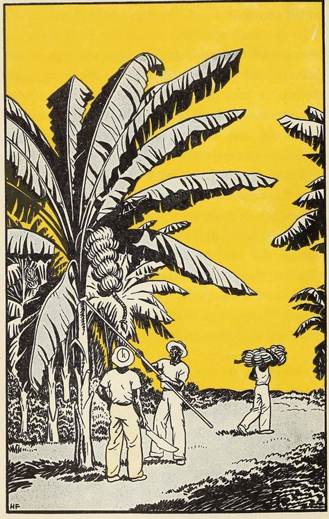 Creole Art, Caribbean Design, Palm Illustration, Filipino Graphic Design, Jamaican Illustration, Vintage Carribean Aesthetic, Caribbean Aesthetic, Caribbean Illustration, Cuban Graphic Design