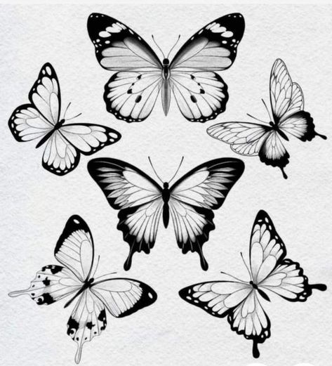 Ink Blot Butterfly, Butterfly Black And White Tattoo, Butterfly Tattoo Sketch, Gothic Butterfly Tattoo, Cool Butterfly Tattoos, Butterfly Flash, Butterfly Stencils, White Butterfly Tattoo, Butterfly Wing Tattoo