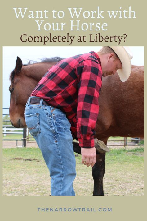 Here are some great ideas to do completely at liberty with your horse. Liberty Work With Horses, Horse Liberty Training, Bonding Exercises With Your Horse, Liberty Horse Training, Advice From A Horse, Liberty Horse Photography, Liberty Horse Training Natural Horsemanship, Fly Spray, New Mustang