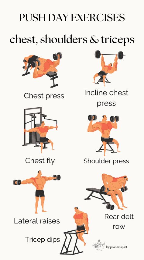 Great strength exercises for your chest, triceps and shoulders!

#gym #gymexercises #gymworkout #pushday #upperbodyworkout #fitness #lifting #strengthtraining Chest Workout Women Gym Weights, Chest And Tricep Warmup, Gym Exercises, Push Day, Strength Exercises, Motivational Affirmations, Chest Fly, Rear Delt, Tricep Dips