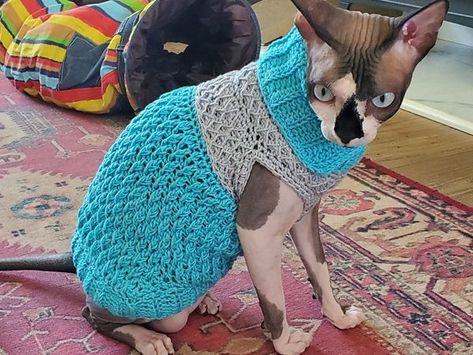 Alpine Cat Sweater – Share a Pattern Crochet Cat Sweater, Crochet Pet Sweater, Crochet Football Pattern, Cat Sweater Pattern, Crocheted Sweaters, Sweater Free Pattern, Free Crochet Sweater, Crochet Dog Clothes, Crochet Sweater Pattern