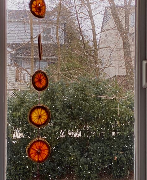 Dried Orange Garland Aesthetic, Dried Orange Slices Decoration Window, Dried Orange Garland Decor, Blood Orange Garland, Hanging Orange Slices, Orange Garland Aesthetic, Dried Orange Decorations Christmas, Dried Oranges Garland, Christmas Orange Decorations