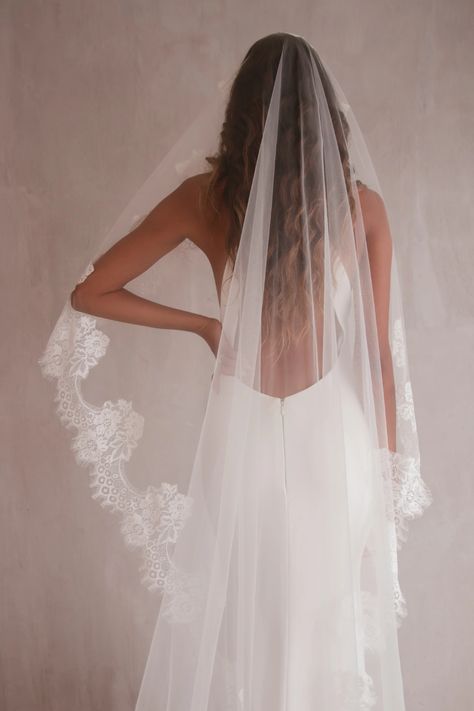 The Emily Mantilla Veil – Jay Kay Braids and Bridal Plain Wedding Dress With Lace Veil, Veil With Ballgown Dress, Statement Wedding Veil, Wedding Veil With Lace Trim, Mantilla Veil Hairstyle, Lace Vail, Wedding Veils With Hair Down, Flower Veil Wedding, Lace Trim Veil