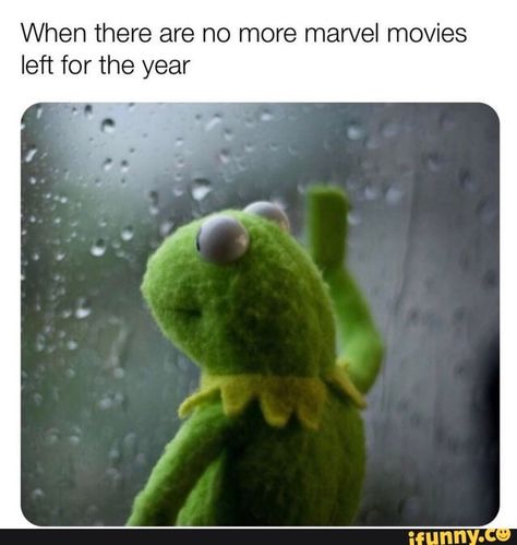 Star Wars Meme, Roblox Meme, Image Memes, Sometimes I Wonder, Dc Memes, Dc Movies, Kermit The Frog, Fresh Memes, Can't Stop Laughing