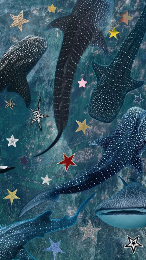 #whaleshark #shark #ocean Leopard Shark Aesthetic, Whale Shark Aesthetic, Sharks Aesthetic, Whale Shark Wallpaper, Shark Collage, Shark Aesthetics, Ocean Reference, Shark Background, Shark Wallpaper