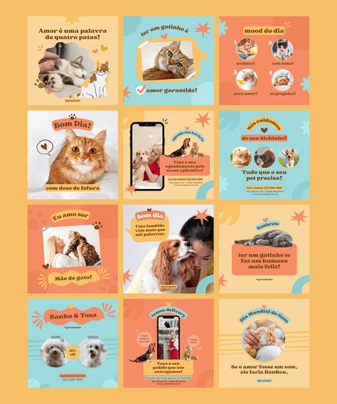 Pet Social Media, Banner Web Design, Pet Branding, Instagram Graphic Design, Instagram Branding Design, Instagram Feed Planner, Social Media Branding Design, Instagram Template Design, Instagram Graphic