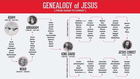 A hopeless Bible contradiction? Why do Matthew and Luke give us two different genealogies for Jesus? – Is Jesus Alive? Psalm 110, Bible Contradictions, Bible Genealogy, Genealogy Of Jesus, Early Church Fathers, Gospel Bible, Son Of David, Mary And Joseph, Bible Study Help