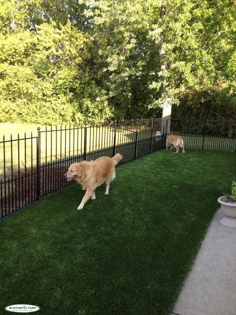 Pet & Dog Runs – Synthetic Turf of Illinois Turf Dog Run, Dog Potty Area, Pet Turf, Bocce Ball Court, Dog Run, Dog Potty, Dog Area, Artificial Lawn, Synthetic Turf