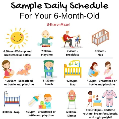 6 Month Old Schedule, Sleeping Schedule, Baby Solid Food, Baby Routine, Baby Schedule, Baby First Foods, Preschool Activities Toddler, Baby Life Hacks, 6 Month Old Baby