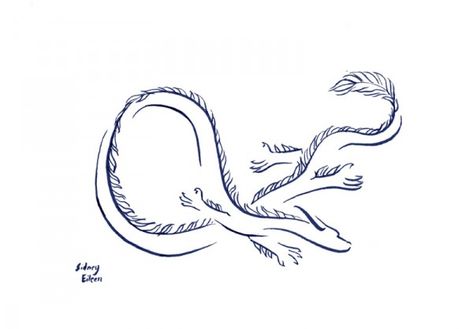 Ink Drawing Tattoo, Never Ending Story Dragon Tattoo, Falcor Luck Dragon Tattoo, Year Of The Dragon Tattoo 2000, Falcor Neverending Story Tattoo, Dragon Minimalist Tattoo, Auryn Tattoo, Never Ending Story Tattoo, Neverending Story Tattoo