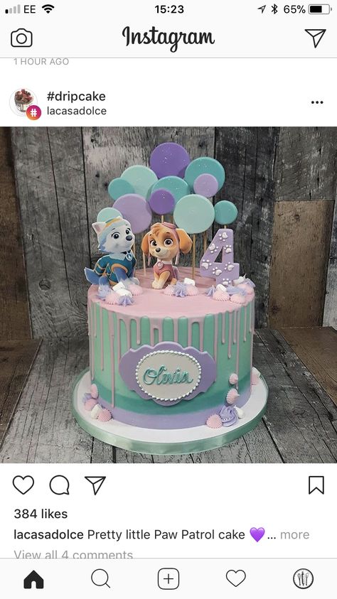 Skye Everest Cake, Paw Patrol Cake Skye Everest, Sky Everest Cake, Paw Patrol Everest Cake, Skye Cake Paw Patrol, Skye And Everest Birthday Cake, Paw Patrol Everest Party, Skye And Everest Cake, Everest Paw Patrol Cake