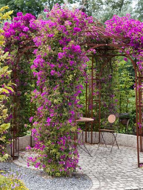 25 Beautiful Backyard Landscaping Ideas and Gorgeous Centerpieces for Outdoor Living Spaces Wooden Gazebo, Flowers Growing, Gorgeous Centerpieces, Garden Gazebo, Have Inspiration, The Secret Garden, Beautiful Backyards, Garden Cottage, Shade Garden