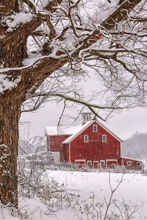 Rain Coffee, Dr Pol, Canadian Quilts, Rain And Coffee, Winter Stickers, Beautiful Winter Scenes, American Barn, Barn Pictures, Country Barns