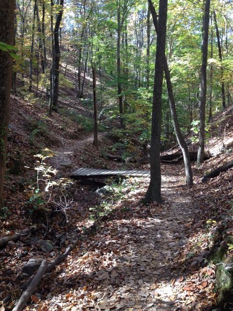 Hiking trails Town Scape, Camp Walden, Planet Of The Apes, In The Woods, Hiking Trails, Mother Nature, North American, Planets, Nature Photography