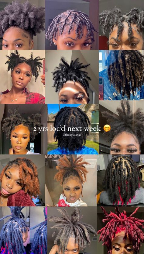 Short Loc Inspiration, Loc Hairstyles Short Locs, Type Of Locs For Black Women, Loc Inspo Black Women Color, Protective Styles Over Starter Locs, Hair Styles For Starter Locs, 50 Locs Count, Cute Styles For Locs, Hair Styles For Short Dreads