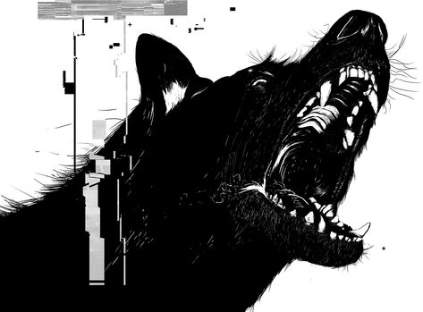 Mauled: When Police Dogs Are Weapons | The Marshall Project Dog Biting, Police Dogs, Bad Dog, Mad Dog, A Wolf, Wolf Art, Black And White Illustration, Black Dog, Dark Art