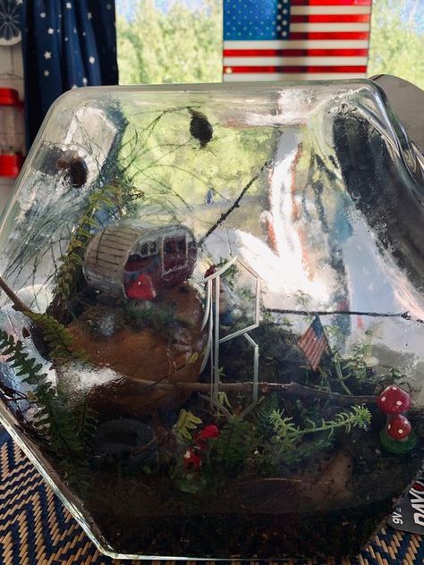 Cute Snail Terrarium, Snail Terrarium Aesthetic, Snail Habitat Tanks, Pet Snails Terrarium Aesthetic, Pet Snails Terrarium, Snail Terrarium Ideas, Garden Snail Terrarium, Snail Enclosure, Pet Snail Terrarium