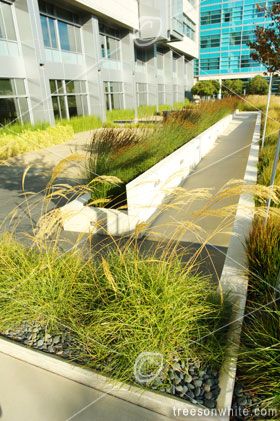 landscape ramp - Google Search Accessible Ramp Landscape, Garden Ramp, Ramp Architecture, Restoration Architecture, Ada Ramp, Ramps Architecture, Outdoor Ramp, Accessible House, Ramp Stairs