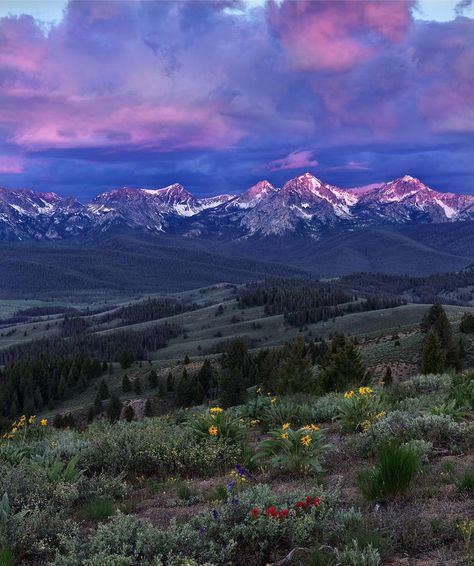 Sawtooth Mountains, Idaho Idaho Camping, Idaho Vacation, Visit Idaho, Sawtooth Mountains, Idaho Travel, Wilderness Camping, Summer Afternoon, Camping Experience, Alam Yang Indah