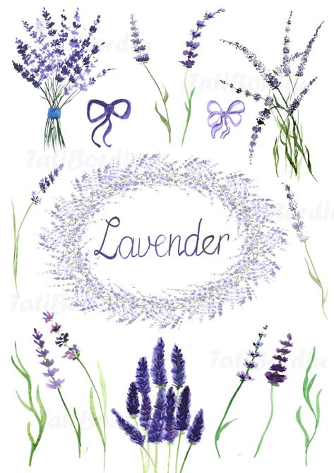 Tattoo Ideas Watercolor, Ideas Watercolor, Lavender Watercolor, Lavender Crafts, Lavender Cottage, Watercolor Clip Art, Vintage Png, Lovely Lavender, 수채화 그림