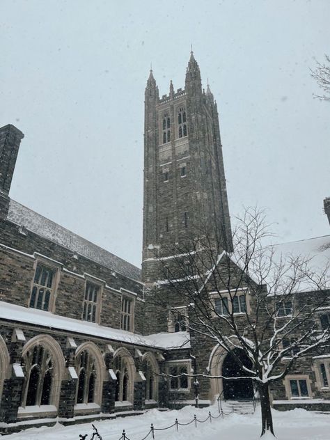 Princeton Library Aesthetic, Princeton University Wallpaper, Bennington College Aesthetic, Princeton Aesthetic, Princeton University Aesthetic, Princeton Library, Milan Aesthetic, Yale College, Bennington College