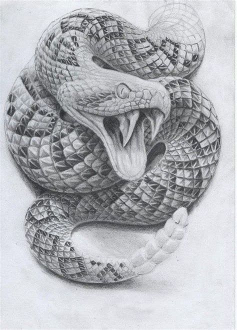 Rattlesnake Tattoo, Snake Sketch, Cobra Tattoo, Serpent Tattoo, Snake Drawing, Snake Tattoo Design, Snake Art, Head Tattoos, Dark Art Drawings