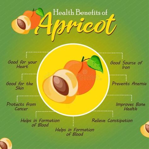 Apricot Health Benefits, Apricot Benefits, Relieve Constipation, Essential Vitamins, Bone Health, Healthy Skin Care, Eye Health, Gut Health, Vitamins And Minerals