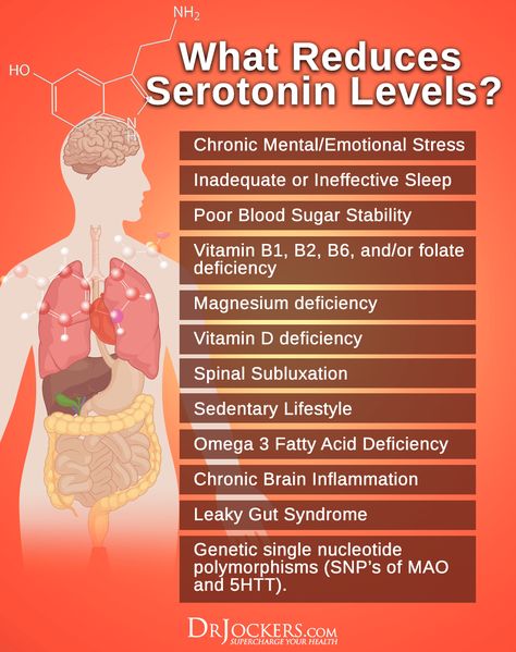 Do You Have Low Serotonin Levels? - DrJockers.com Nervus Vagus, Happiness Photography, Family Nature, Health Info, Health Facts, Brain Health, Emotional Health, Health Remedies, Nerve