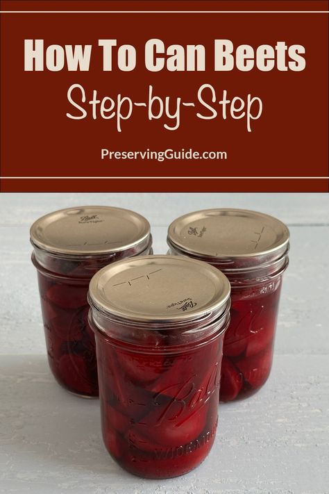 Pinterest Pin for How to Can Beets Step-By-Step. Image of three mason jars of pressure canned beets. Canning Beets Pressure Cooker, Canning Beets Recipes, Pickled Beets Canning Recipe, Beets Canning, Garden Preservation, Pressure Canner Recipes, Canned Pickled Beets, Canning Beets, Canning Water