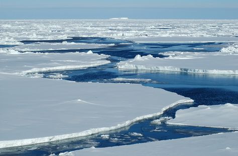 Polar Ice Caps Melting, Arctic Sea, Sea Ice, Nature Art Prints, Arctic Ocean, Open Water, Natural Phenomena, 그림 그리기, Scientists