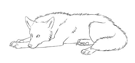 Wolf Laying Down Drawing, Laying Down Drawing, Wolf Outline, Draw A Wolf, Drawing Wolf, Husky Drawing, Wolf Base, Werewolf Stories, Wolf Sketch