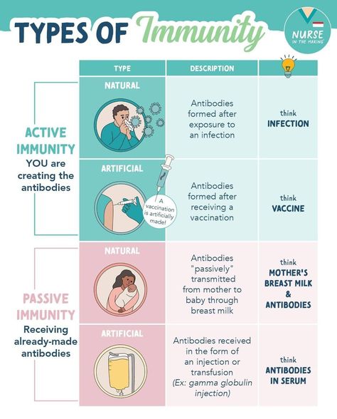 X Types Of Immunity, Immune System Nursing, Immunity Nursing, Nursing School Studying Cheat Sheets, Nursing School Essential, Emergency Nurse, Nursing Study Guide, Nurse Study Notes, Nursing Student Tips