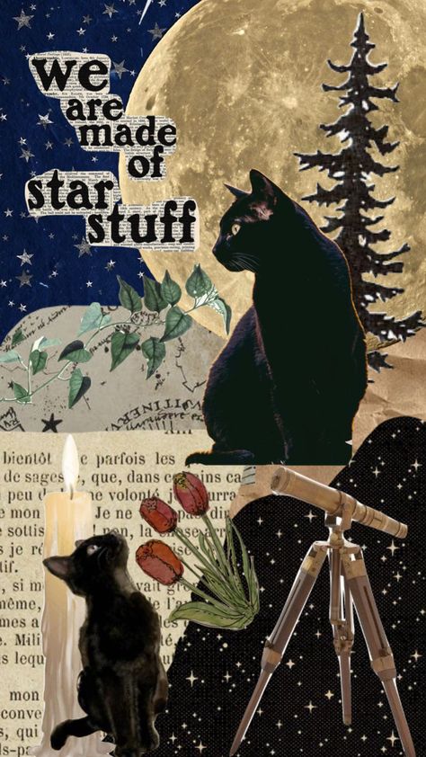 Black Cat Collage Wallpaper, Cat Moodboard Aesthetic, Cat Shuffle, Black Cat Wallpaper Aesthetic, Cat Collage Wallpaper, Black Cat Aesthetic Wallpaper, 90s Aesthetic Wallpaper Iphone Vintage, Motivating Posters, Cat Lockscreen