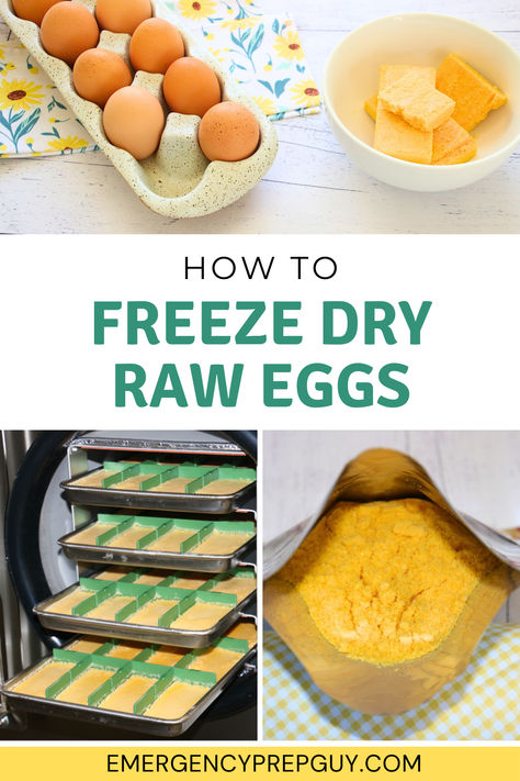 Trays of raw eggs being freeze-dried and stored in powdered form, a method ideal for prepping and emergency food storage. Freeze Dried Eggs, Dried Eggs, Preserve Eggs, Freeze Dried Meat, Harvest Right Freeze Dryer, Best Freeze Dried Food, Food Prepping, Preppers Pantry, Food Meaning