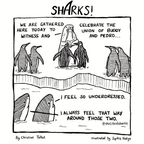 Cartoon Strip, Funny Comic, Funny Comic Strips, Shark Week, Gay Wedding, Drawing Artist, Art Sketch, Sketch Drawing, Pride Month